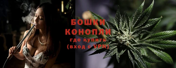 ALPHA PVP Каменка