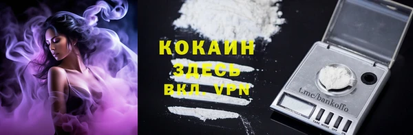 ешки Иннополис