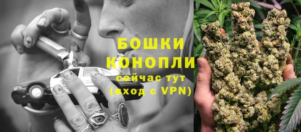 прущая мука Инта