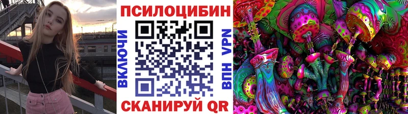 Галлюциногенные грибы Psilocybine cubensis  Купить  Гаврилов Посад 